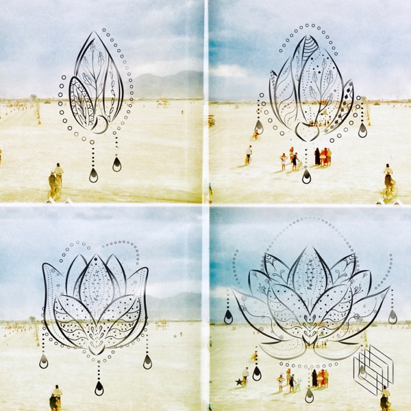 Lotus - Single