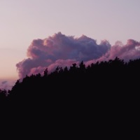 Moody - Single - yellowbear
