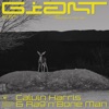 CALVIN HARRIS/RAG'N'BONE MAN - Giant (Record Mix)