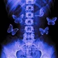 False Butterflies - Single - Lameboysharp