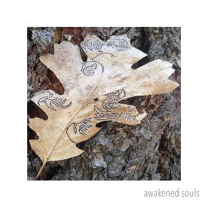 Awakened Souls - EP