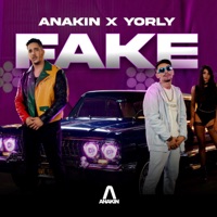 Fake - Single - Anakin Larios & Yorly