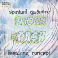 Spiritual Guidance - Single - Shock & Dash