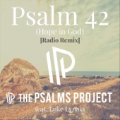 Psalm 42 (Hope in God) [Radio Remix] [feat. Luke Lynass] artwork