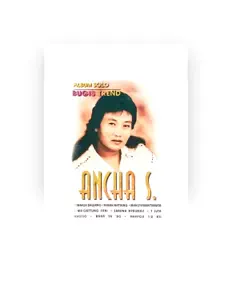 Ancha Sを聴いたり、ミュージックビデオを鑑賞したり、経歴やツアー日程などを確認したりしましょう！