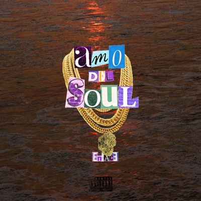 Amo del Soul - Single