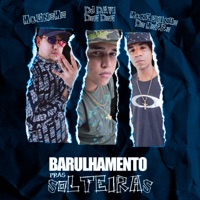 Barulhamento Pras Solteiras - Single - MC Gnomo, Mc Neguinho do Morro & DJ DAVI DOGDOG