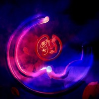 Rabbit Hole - Single - Syncatto