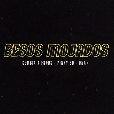 Besos Mojados (feat. Pinky SD & Una Más) - Single