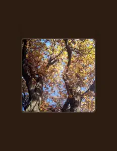 Listen to GRUN!XX, watch music videos, read bio, see tour dates & more!