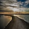 Joe Jackson - Sunrise Explosion lyrics