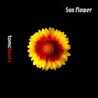 Sun Flower - Single - ToMC Beatz