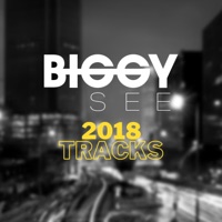 2018 Tracks - EP - Biggy See