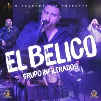 El Belico - Single - Grupo Infiltrados