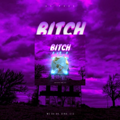 Bitch - Single