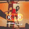 Karsh Kale - Light up the Love
