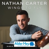 Wings To Fly artwork