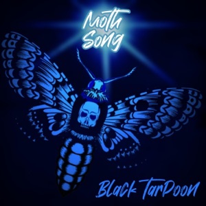 Moth Song (feat. Gary Lindsey) - Single