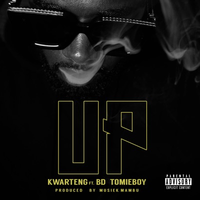 Up (feat. BD, Tomieboy & Tomie Boy) - Single