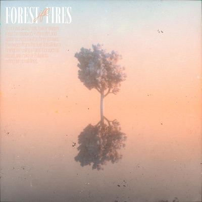 JFK (Forest Fires) [Instrumental] - Single