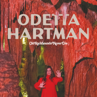 Odetta Hartman - Old Rockhounds Never Die artwork