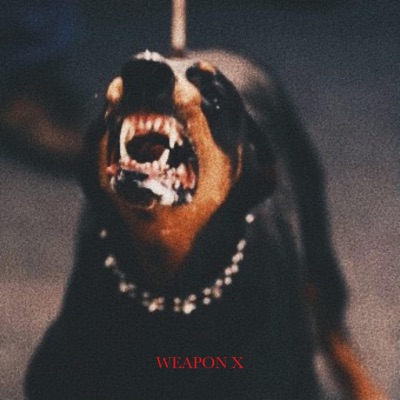 Weapon X - Single