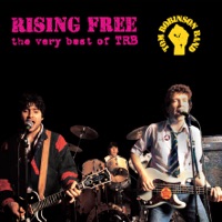 Rising Free - The Very Best of TRB - Tom Robinson Band