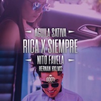 Rica X Siempre (feat. Hernam & Nito Favela) - Single - Aguila Sativa