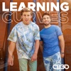 Learning Curves - Single