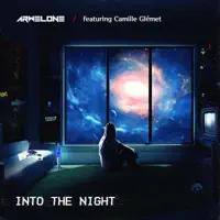 Into the Night (feat. Camille Glémet) — Arwelone