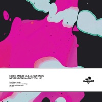 Never Gonna Give You Up - Single - F3d3 B, Xander Ace & Alyssa Raghu