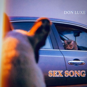 Sex Song - Single