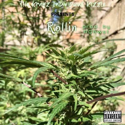 Rollin' - Single