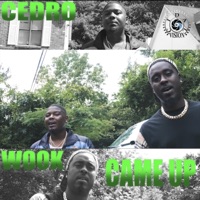 Came Up (feat. Cedro) - Single - Wook