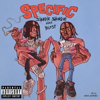 Specific (feat. Blxst) - Single - Shordie Shordie