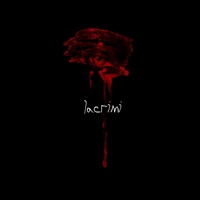 Lacrimi - Single - Dhali