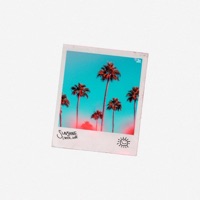 Sunshine - Single - Lyrical_Levite