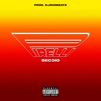 Pirelli - Single - SECCIO