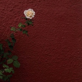 Red Flag Zowie Kengocha & NGE-THE-PRODUCER