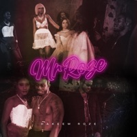 Mr Roze - Single - Hakeem Roze