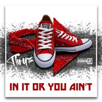 In It Or You Ain't - Single - Thryz
