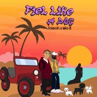 Fiel Like A Dog (feat. Mio B) - Single - Toleoh
