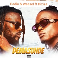 Demasunde (feat. Diziza) - Single - Radio & Weasel