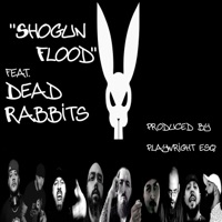 Shogun Flood (feat. Dead Rabbits) - EP - Playwright Performer
