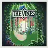 THE VINES