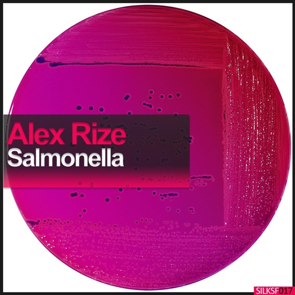Salmonella - Single