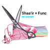 Do It Again (Re:cover) - Shaa'ir + Func