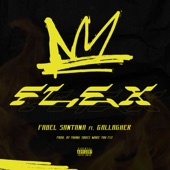 Flex (feat. Gallagher) artwork