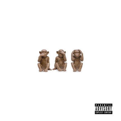 N.p.n.v.n.s. - Single