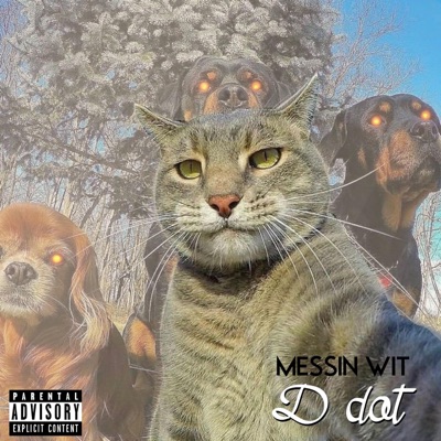 Messin Wit D dot - Single